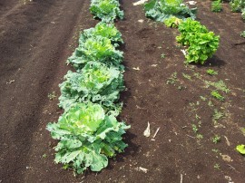 ktv2014-05-23 09.39.49