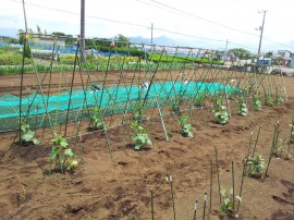 ktv2014-05-23 12.12.27