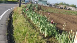 ktvDSC08344