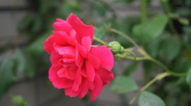 ktvDSC08375