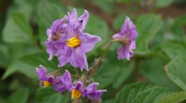 ktvDSC08381
