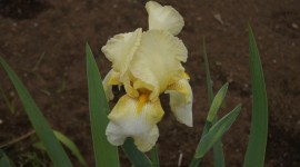 ktvDSC08388