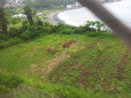 ktv2014-05-27 16.00.41