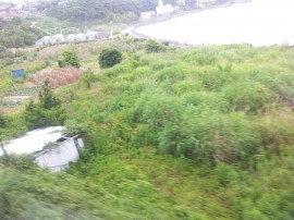 ktv2014-05-27 16.00.43