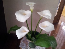 ktv2014-05-28 13.49.39