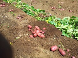 ktv2014-06-01 12.15.47