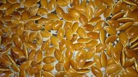 ktv2014-09-16 16.50.43