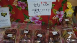 ktvDSC00141