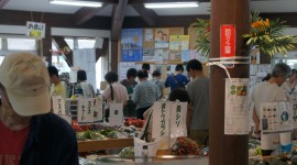 ktvDSC00144