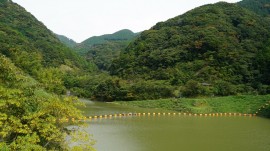 DSC00110