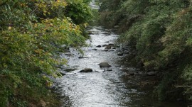 DSC00118