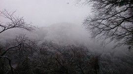 2015-02-05 11.06.14