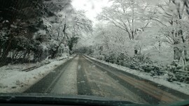 2015-02-05 11.13.29