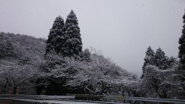 2015-02-05 11.23.48