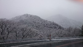 2015-02-05 11.23.54