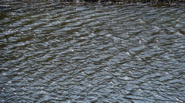 2015-02-15 12.52.33