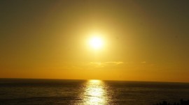 DSC03344