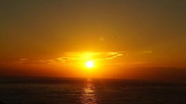 DSC03354