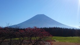 2015-11-04 08.56.55