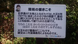 2015-11-04 15.04.57
