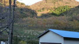 CIMG0933