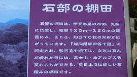 CIMG0941