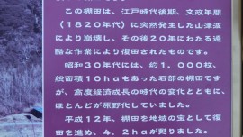 CIMG0942