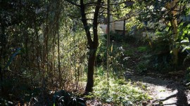 DSC03894