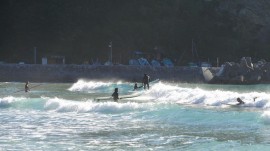 DSC03902