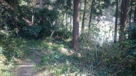 12841276_1819060951654917_5552050746336489879_o