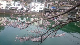 12916960_1832090297018649_8529706109410150379_o