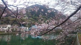 12961353_1832090340351978_8211438635476079406_o