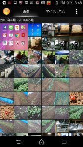 13076562_1843894569171555_192094534565083538_n