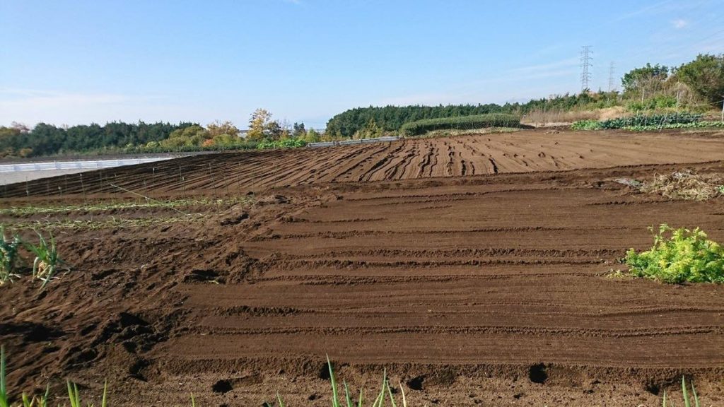 15259239_1955221434705534_143232428599214328_o