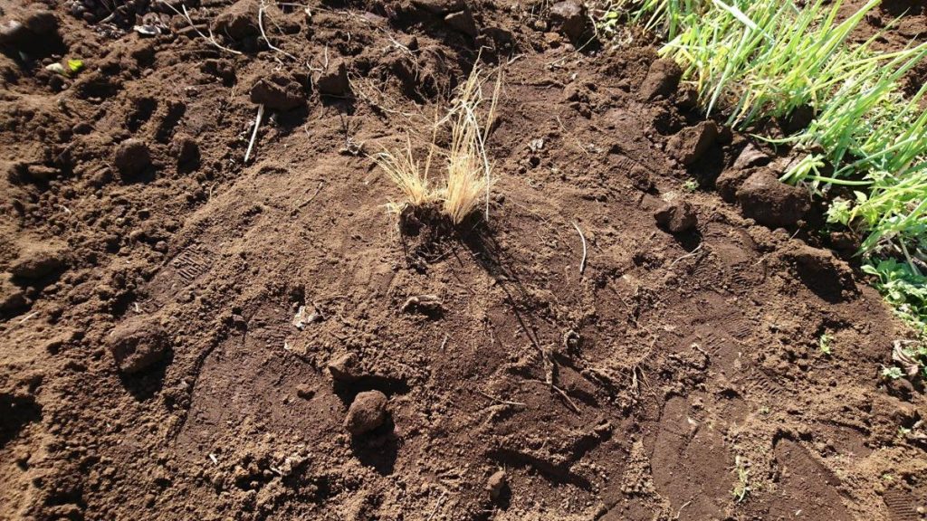 15259352_1955222134705464_710396608787375758_o