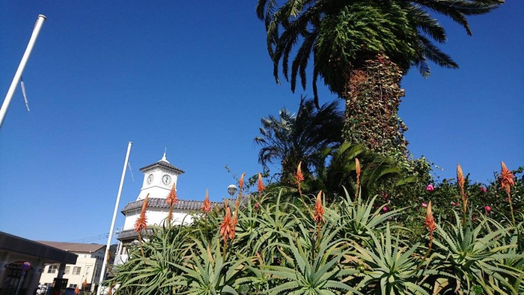 15326092_1956383507922660_6182227417415385351_o