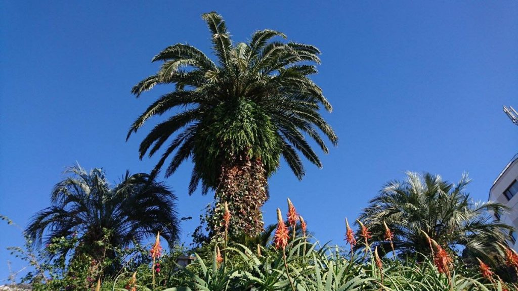 15370048_1956383511255993_1261391396078796647_o